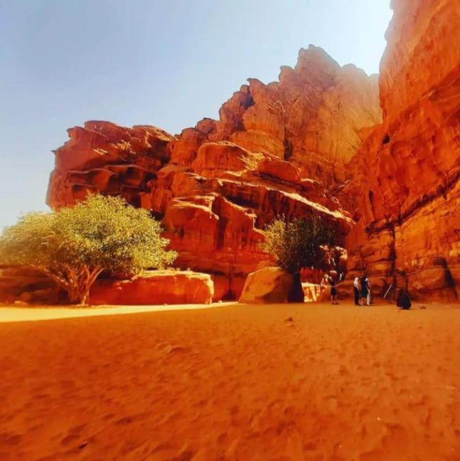 Saleem With Jeep Tour Διαμέρισμα Ουάντι Ραμ Εξωτερικό φωτογραφία